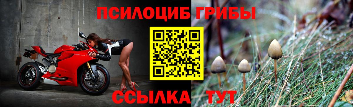 Павловский Посад  Псилоцибиновые грибы GOLDEN TEACHER  Вход с VPN  Галлюциногенные грибы ЛСД 